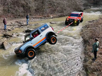 The Journey of Evolution